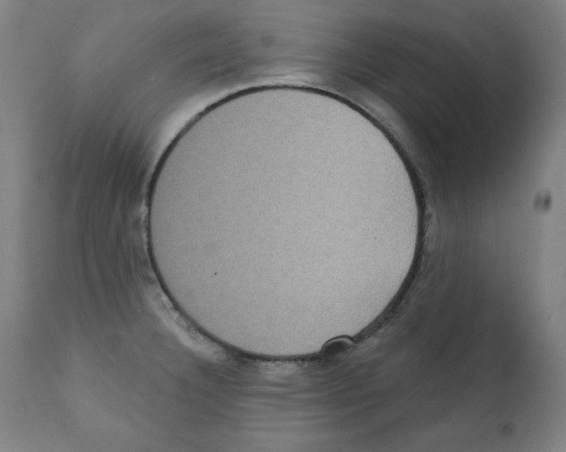 X0000112351332200909241053