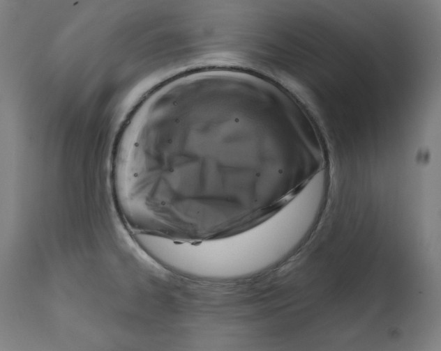 X0000112351334200909241053