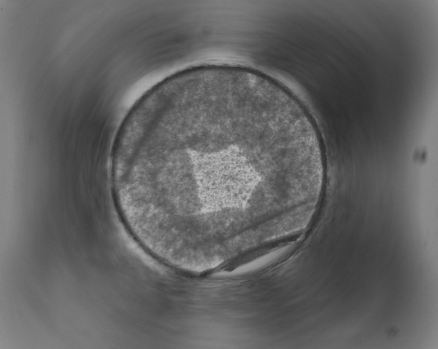 X0000112351335200909241053