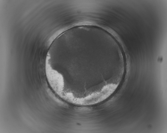 X0000112351337200909241053