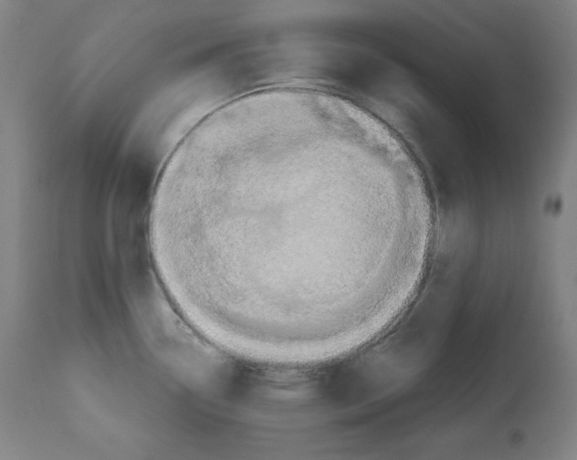 X0000112351338200909241053