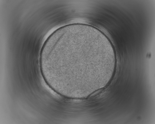 X0000112351339200909241053