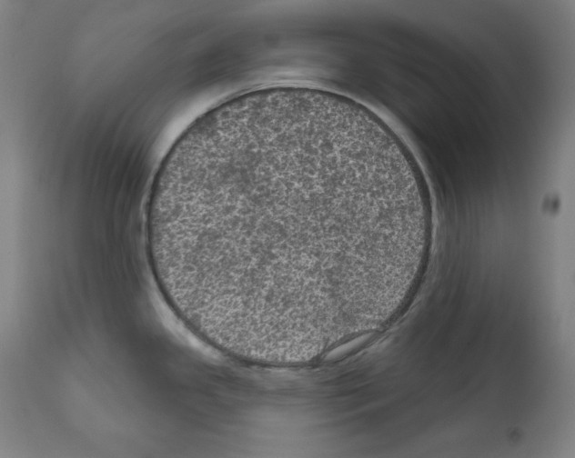 X0000112351341200909241053