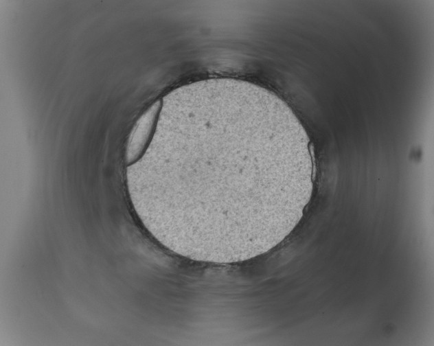 X0000112351345200909241052