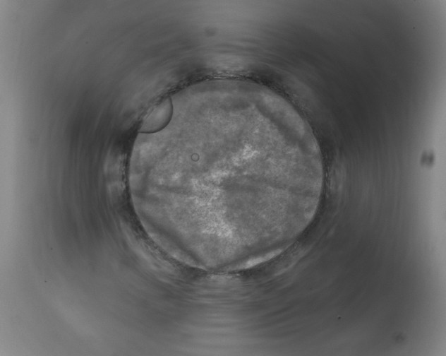 X0000112351346200909241052