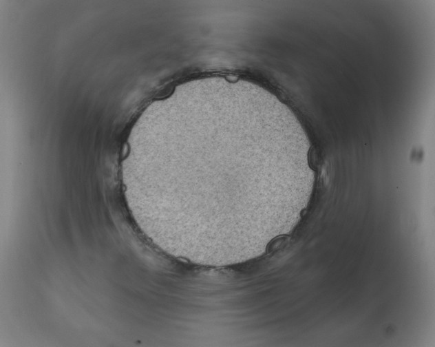 X0000112351348200909241052