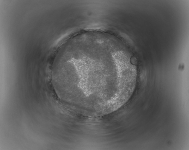 X0000112351350200909241052