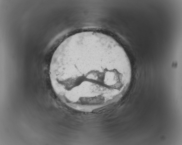 X0000112351351200909241052