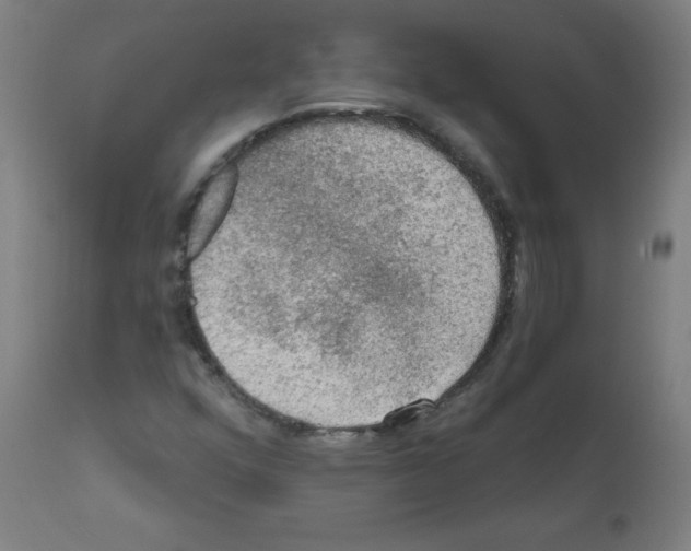 X0000112351352200909241052