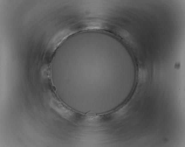 X0000112351353200909241052