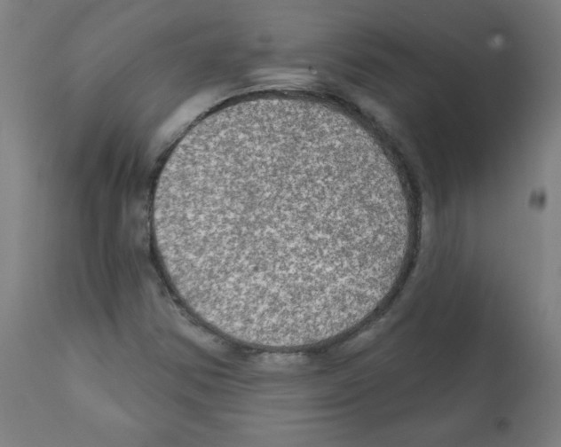 X0000112351354200909241052