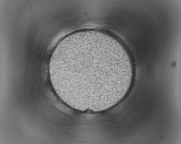 X0000112351355200909241052