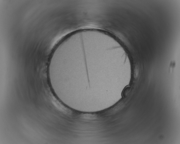 X0000112351356200909241052