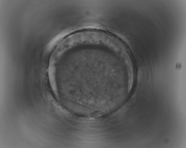 X0000112351359200909241052