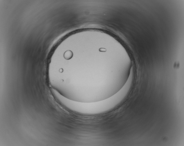 X0000112351364200909241052