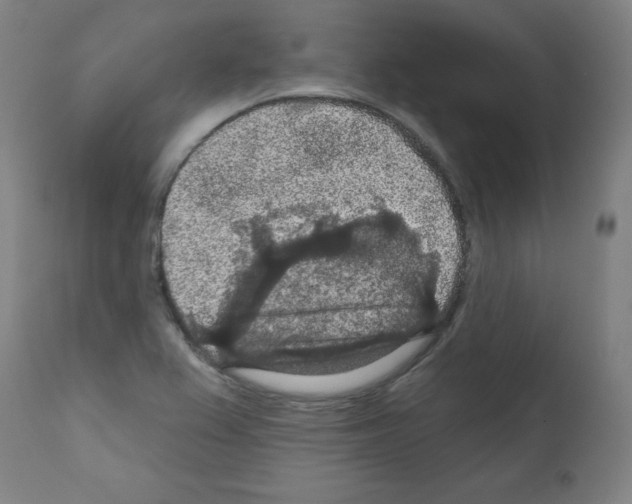 X0000112351367200909241052