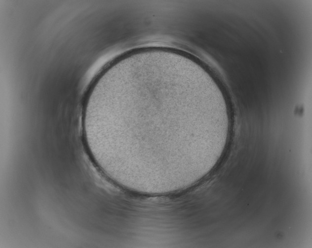 X0000112351368200909241052