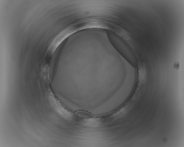 X0000112351369200909241052