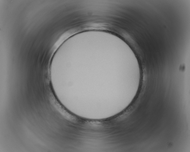 X0000112351370200909241052