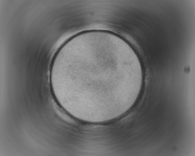 X0000112351372200909241052