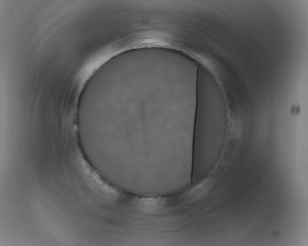 X0000112351373200909241052