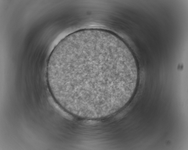 X0000112351374200909241052