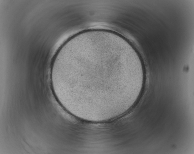 X0000112351376200909241052