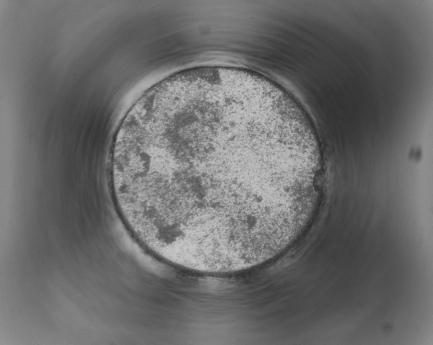 X0000112351379200909241052