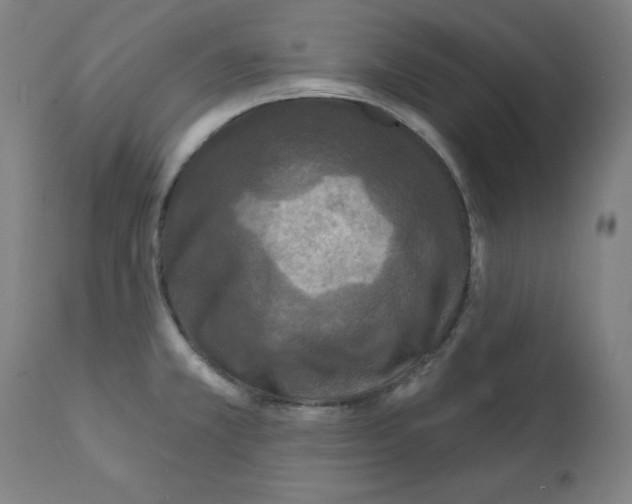 X0000112351381200909241052