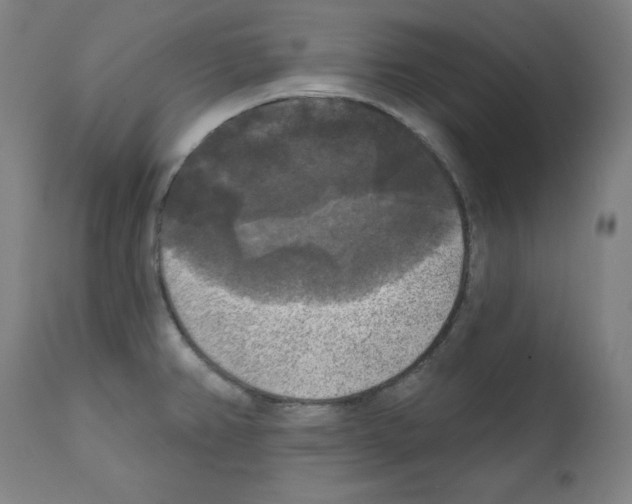 X0000112351382200909241052