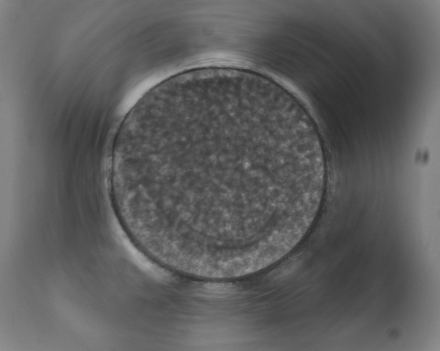 X0000112351383200909241052