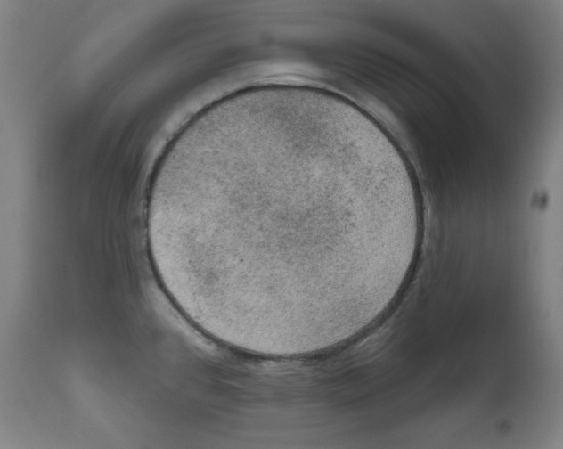 X0000112351384200909241052