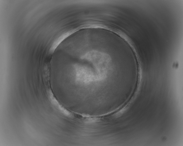 X0000112351385200909241052