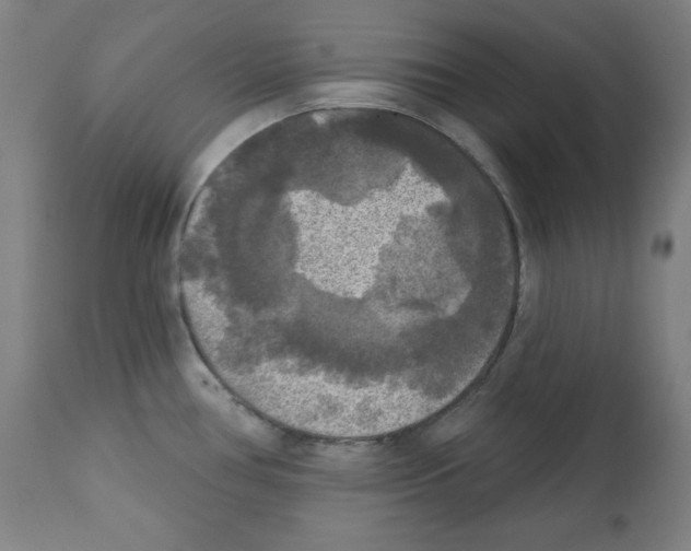 X0000112351386200909241052