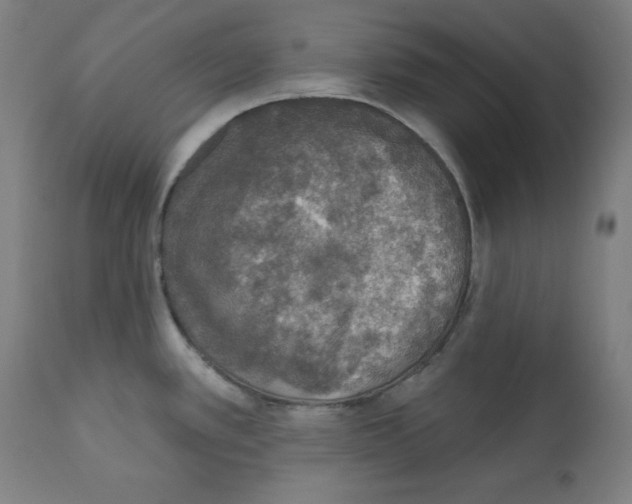 X0000112351389200909241052