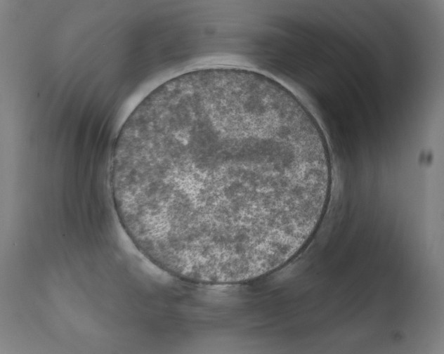 X0000112351390200909241052