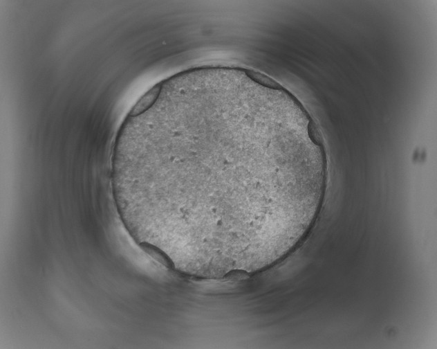 X0000112351392200909241052