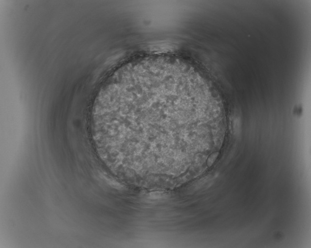 X0000112351393200909241051