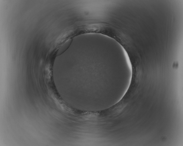 X0000112351394200909241051