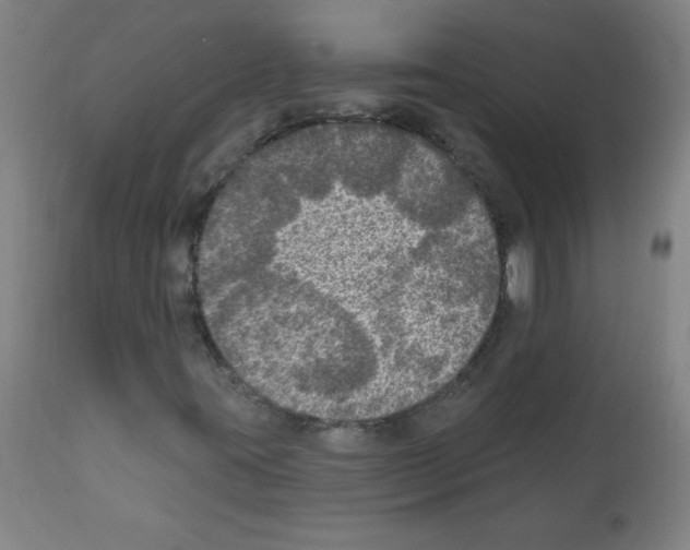 X0000112351395200909241051