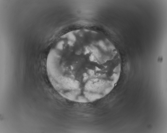 X0000112351397200909241051