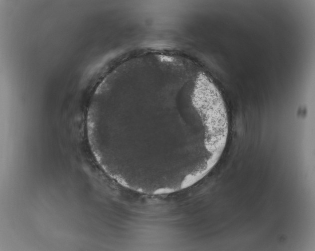 X0000112351398200909241051