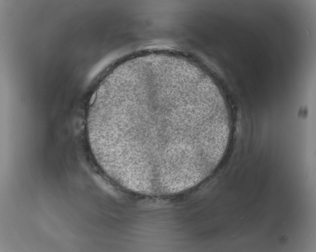 X0000112351400200909241051