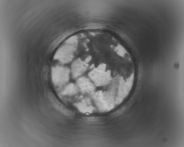 X0000112351401200909241051