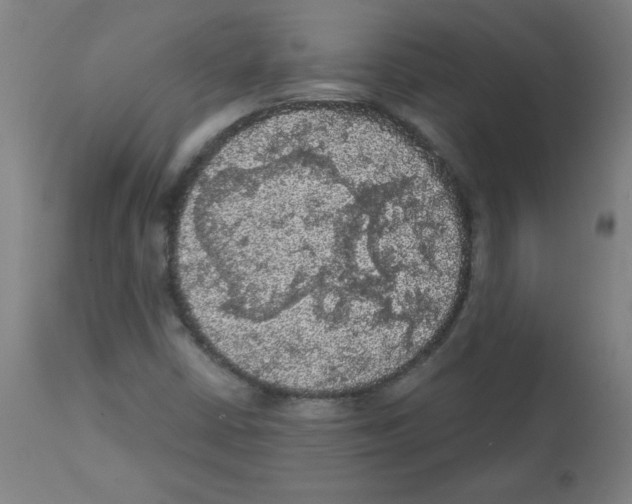 X0000112351402200909241051