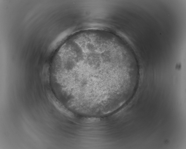 X0000112351403200909241051