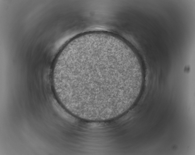 X0000112351404200909241051