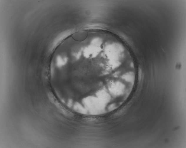 X0000112351405200909241051