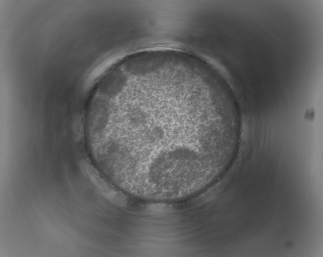 X0000112351407200909241051