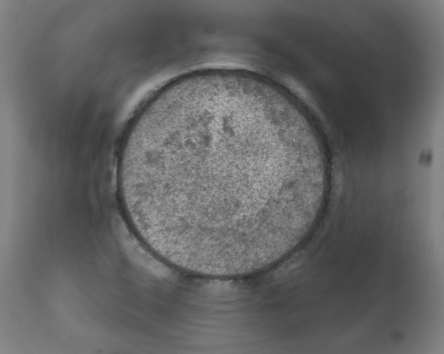 X0000112351408200909241051